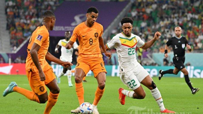 netherland vs ecuador