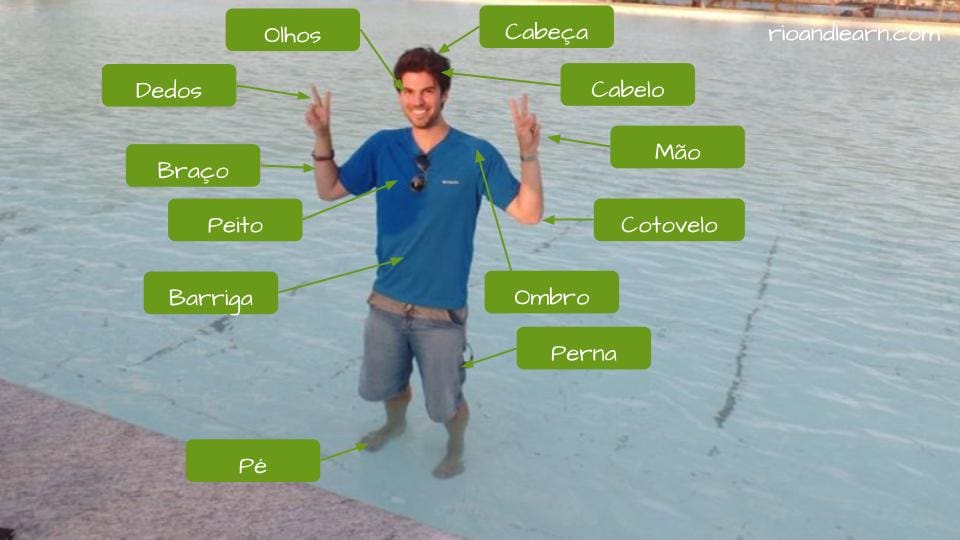 Body Parts in Portuguese – A Dica do Dia, Free